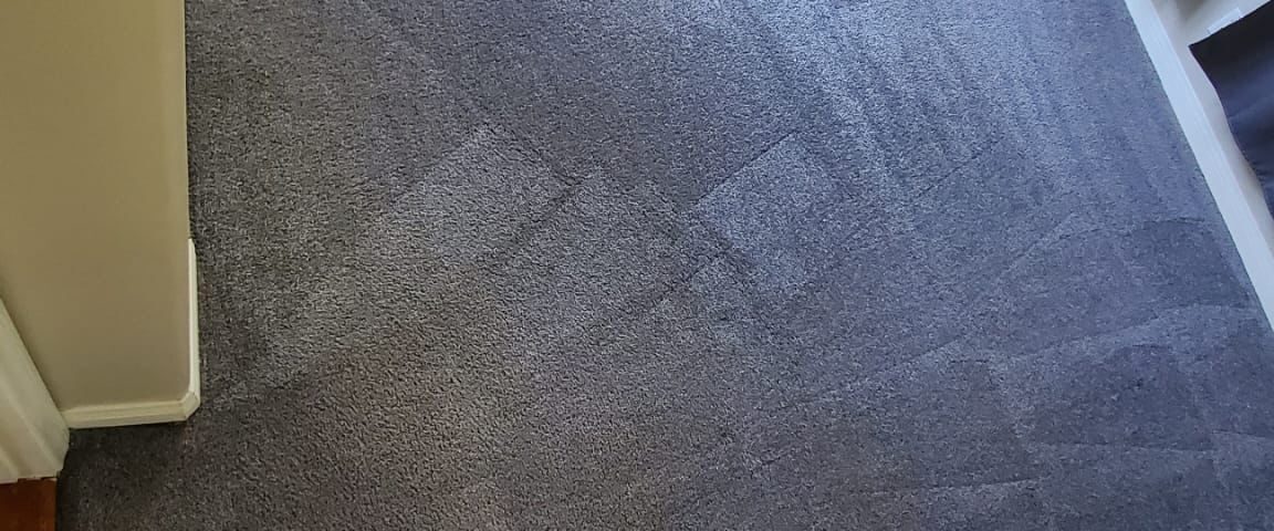 carpet cleaning near me in irvine